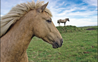 Iceland, 2006 © John Isaac